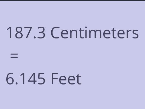 187.3 CM TO FEET