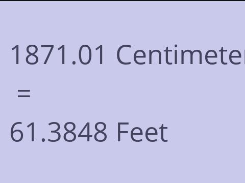 1871.01 CM TO FEET