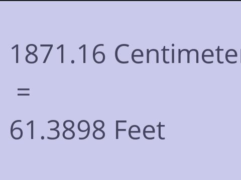 1871.16 CM TO FEET