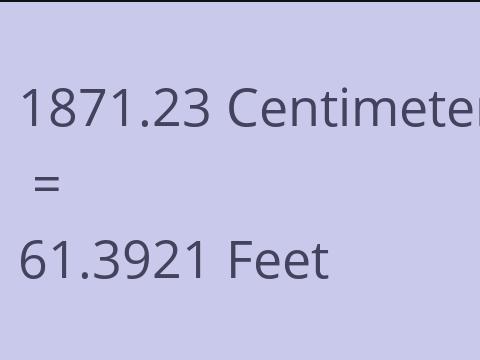 1871.23 CM TO FEET