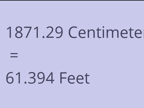 1871.29 CM TO FEET