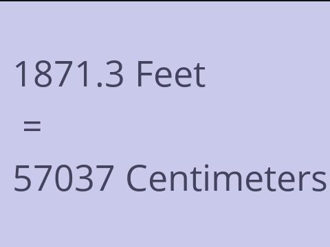 1871.3 FEET TO CM