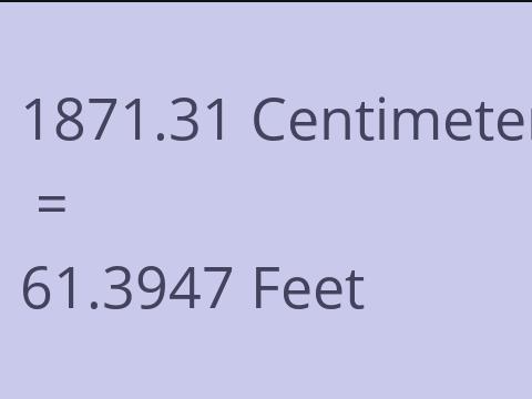 1871.31 CM TO FEET