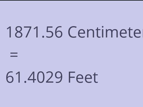 1871.56 CM TO FEET