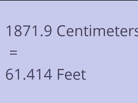 1871.9 CM TO FEET