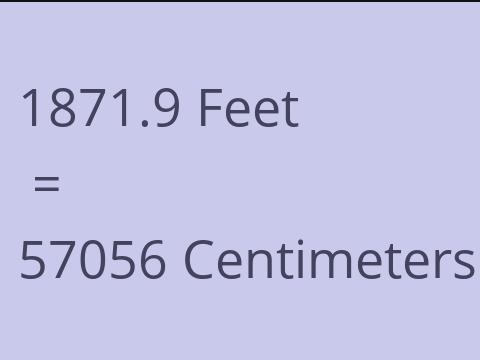 1871.9 FEET TO CM