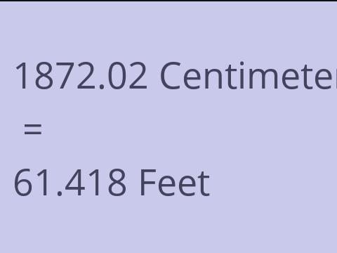 1872.02 CM TO FEET