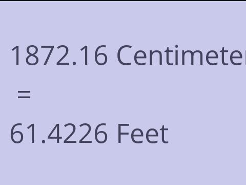 1872.16 CM TO FEET