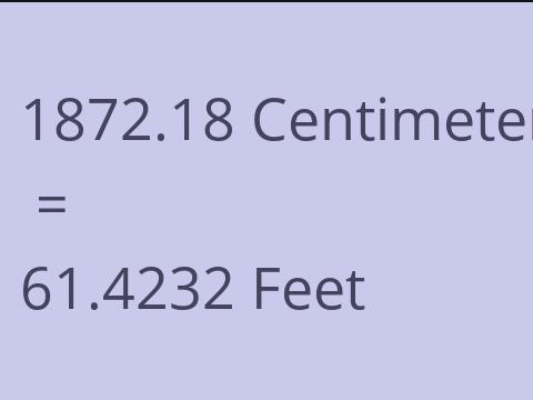 1872.18 CM TO FEET