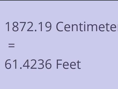 1872.19 CM TO FEET