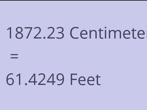 1872.23 CM TO FEET