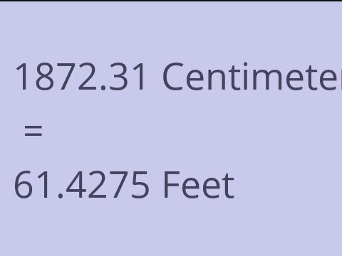 1872.31 CM TO FEET