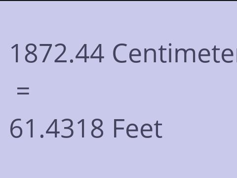 1872.44 CM TO FEET