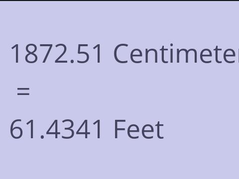 1872.51 CM TO FEET