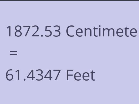 1872.53 CM TO FEET