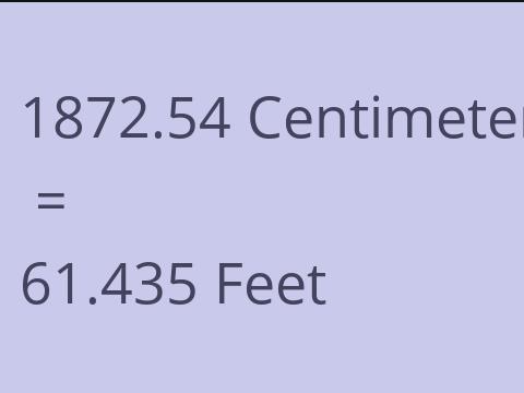 1872.54 CM TO FEET