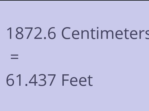 1872.6 CM TO FEET