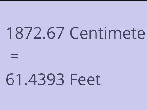 1872.67 CM TO FEET