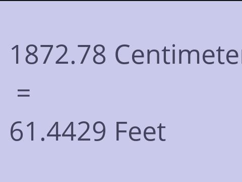 1872.78 CM TO FEET