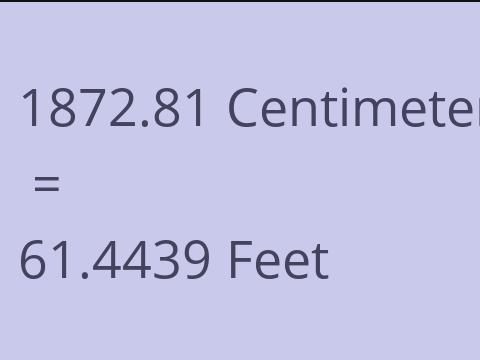 1872.81 CM TO FEET