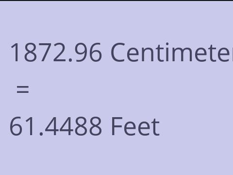 1872.96 CM TO FEET