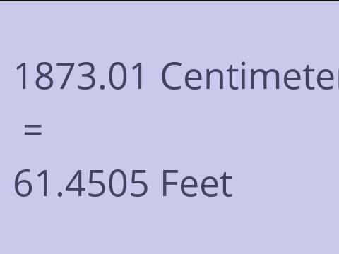 1873.01 CM TO FEET