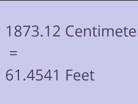 1873.12 CM TO FEET