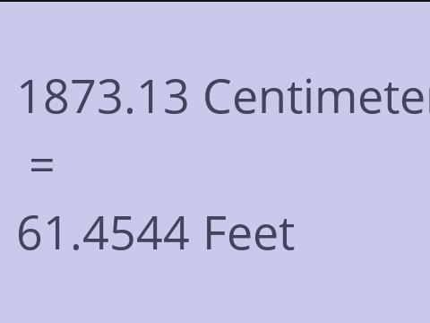 1873.13 CM TO FEET