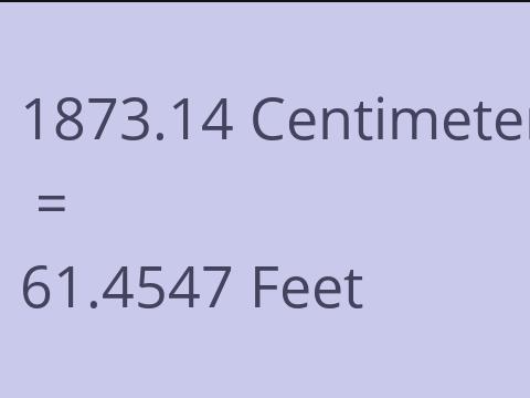 1873.14 CM TO FEET