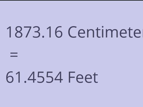 1873.16 CM TO FEET