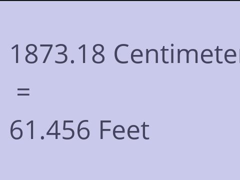 1873.18 CM TO FEET