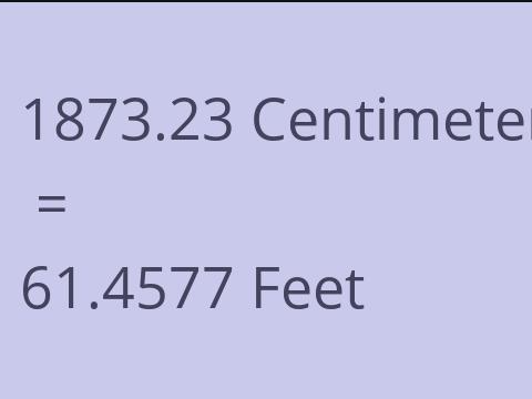 1873.23 CM TO FEET