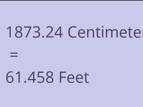 1873.24 CM TO FEET