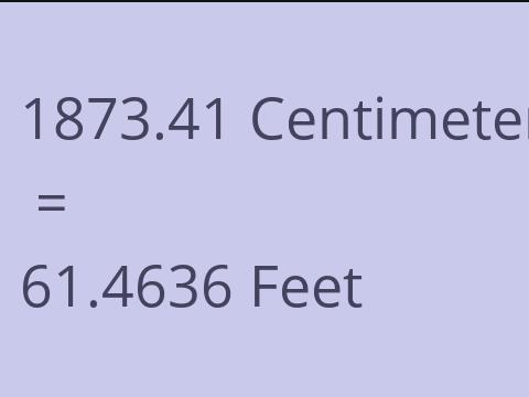 1873.41 CM TO FEET