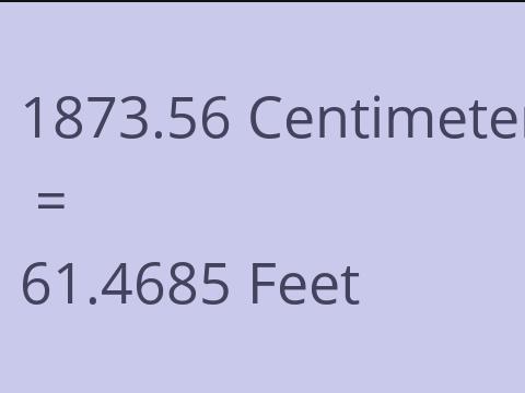 1873.56 CM TO FEET