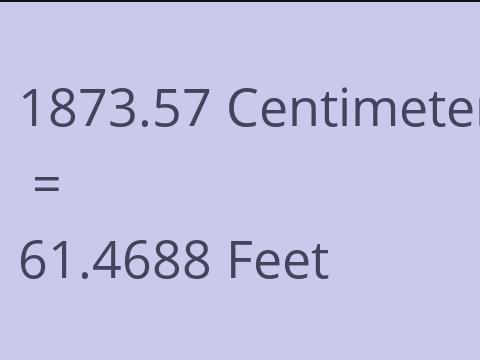 1873.57 CM TO FEET