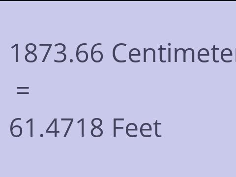 1873.66 CM TO FEET