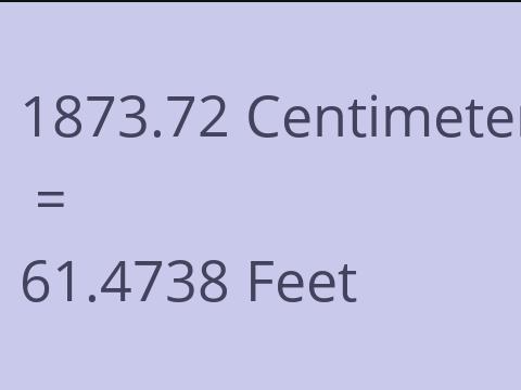 1873.72 CM TO FEET