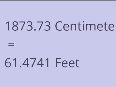 1873.73 CM TO FEET