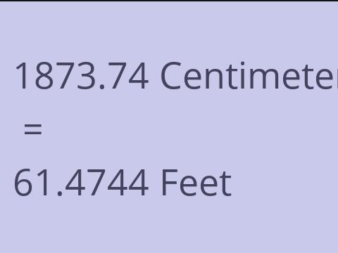 1873.74 CM TO FEET