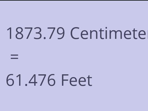 1873.79 CM TO FEET