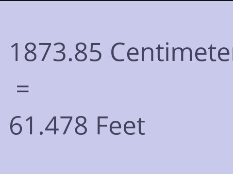 1873.85 CM TO FEET