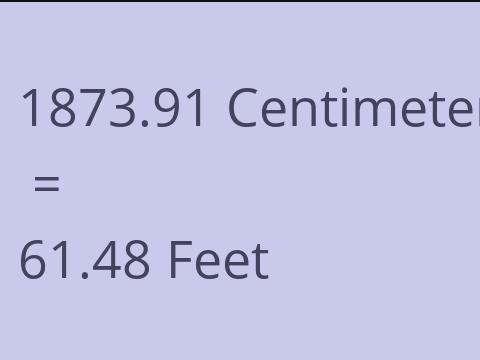 1873.91 CM TO FEET