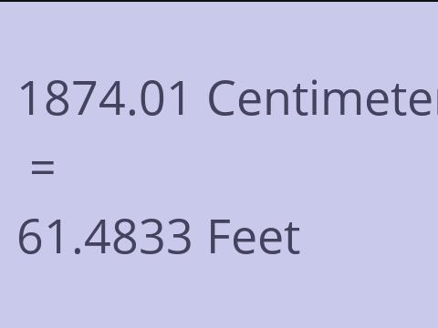 1874.01 CM TO FEET