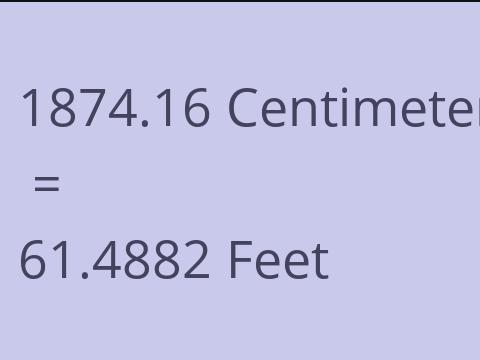 1874.16 CM TO FEET