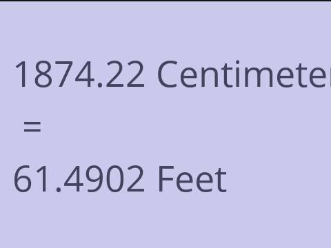 1874.22 CM TO FEET