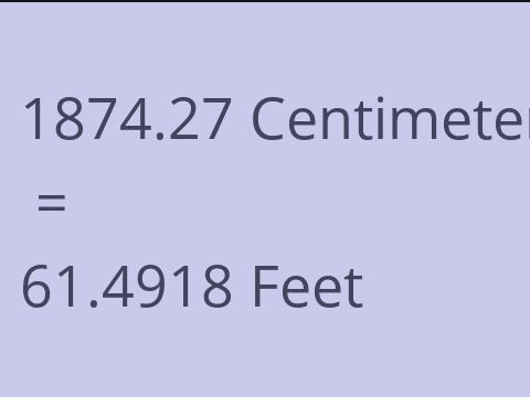 1874.27 CM TO FEET