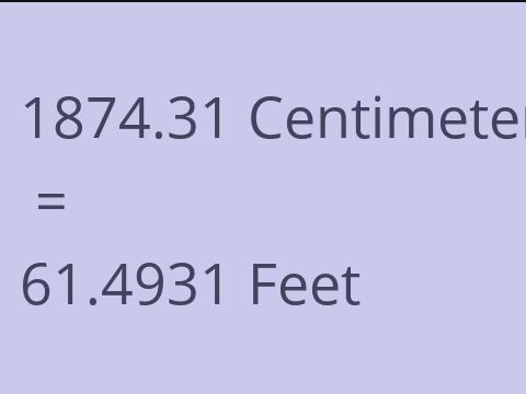 1874.31 CM TO FEET