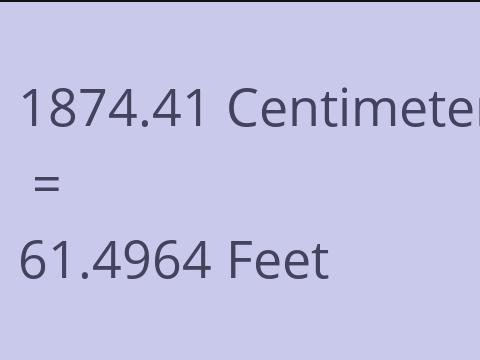 1874.41 CM TO FEET