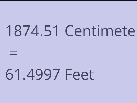 1874.51 CM TO FEET